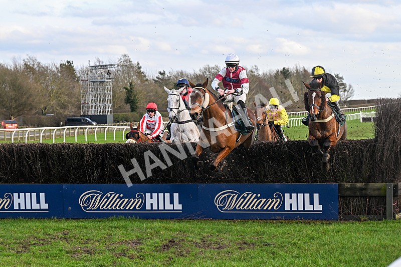 240226-Race 5-Chasingouttheblues-7095 - Race 5