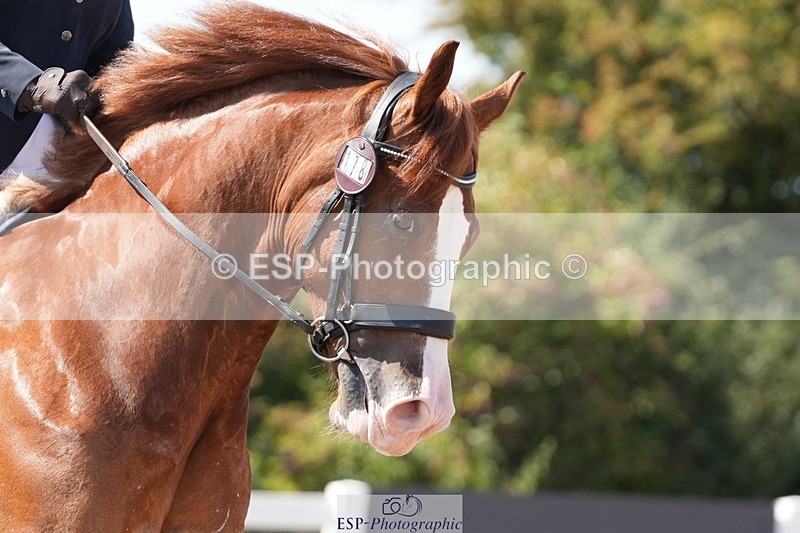 250817-145329-11091 - 178-Ella.MatraversMenai.Cosmic.Inferno