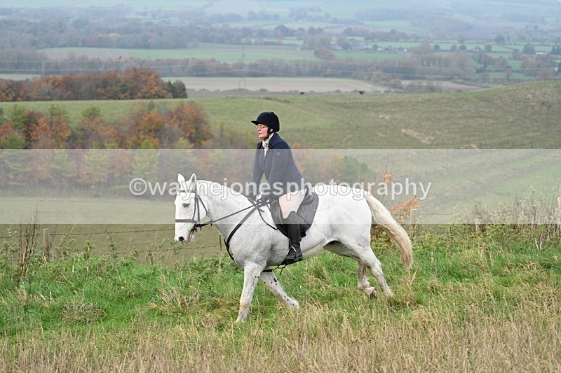 WJ7_0073 - Camera 1 & Last fence