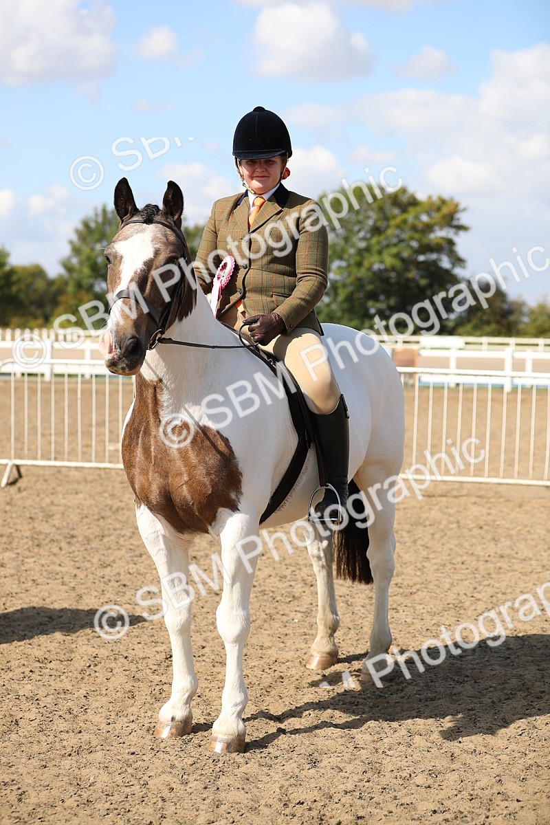 SBM_03293 - Class 44 Riding Club Horse/ Pony