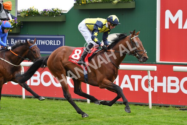 yr14052021r3-18 - Race 3 2.40pm The Matchbook Best Value Exchange Stakes