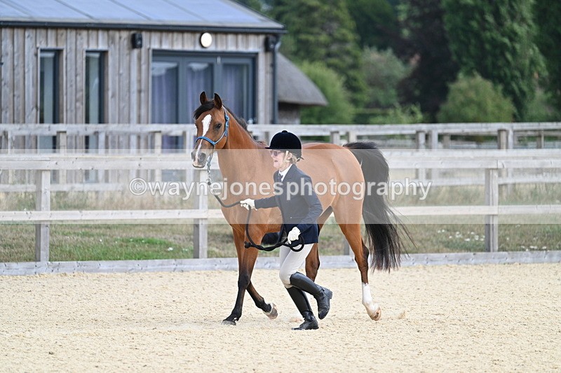 WJ7_1859 - In Hand
