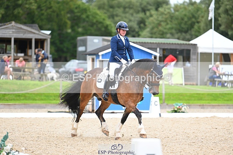 230813-142111-07732 - Cls 13 Medium Bronze 13.15 to End