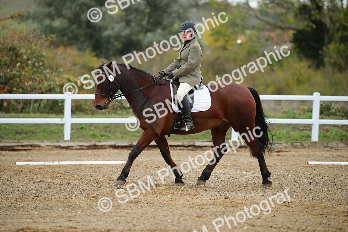 SBM_000260 - Intro 1