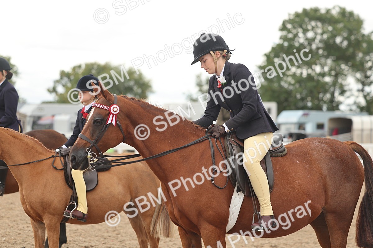 SBM_16059 - Class 311 - Ridden Show pony-Show hunter Pony