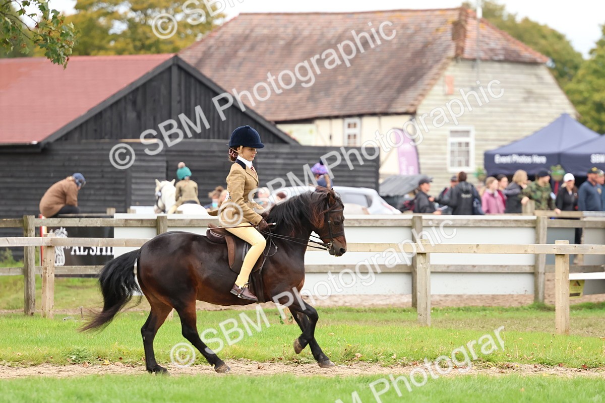SBM_67432 - S61 - Mountain & Moorland Ridden
