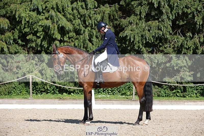 230526-162802-07827 - 171-SLANEYSIDE_COOLEY-Lara_Chapple-WEDTrotUp+DR