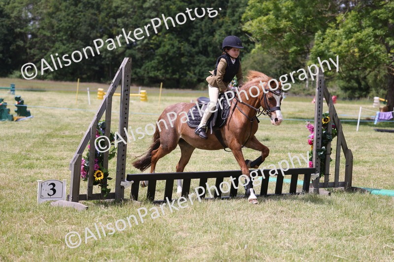 20260614-1998 - Class 21 - Novice Working Hunter Pony