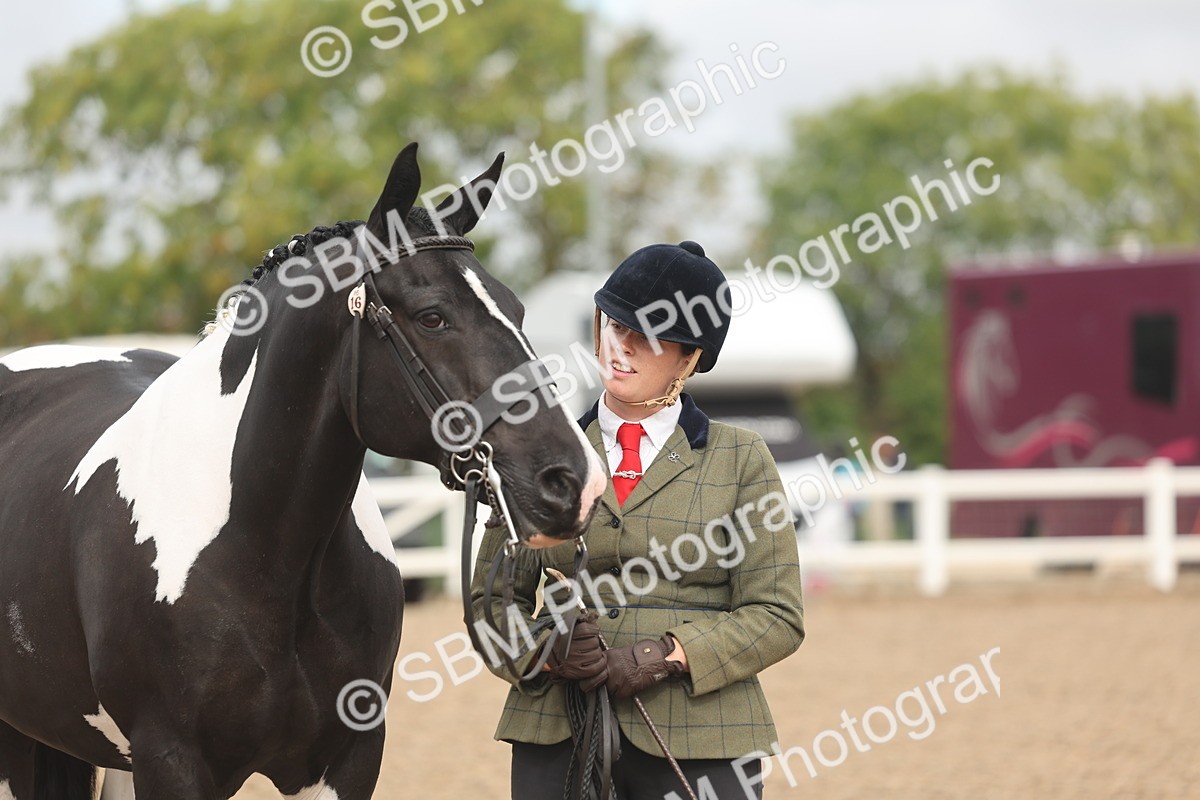 SBM_02098 - Class 15 - IH Coloured