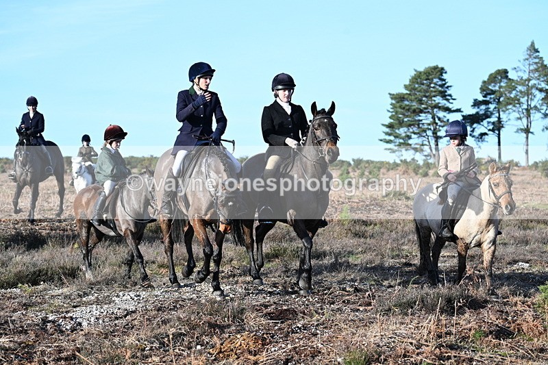 WJ7_7391 - Line 3 (no line 4 or 5)