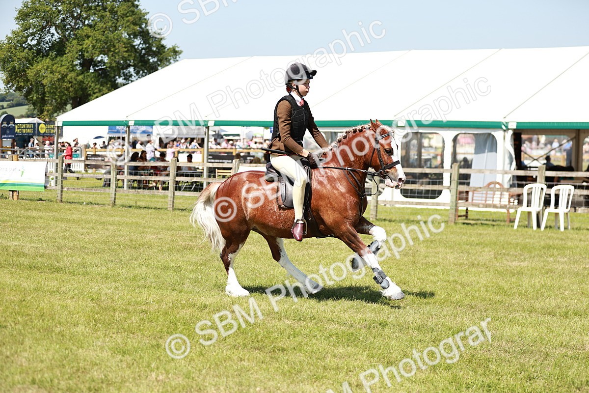 SBM_17618 - Class 112-113 - BSPS LIHS Working Sports Pony