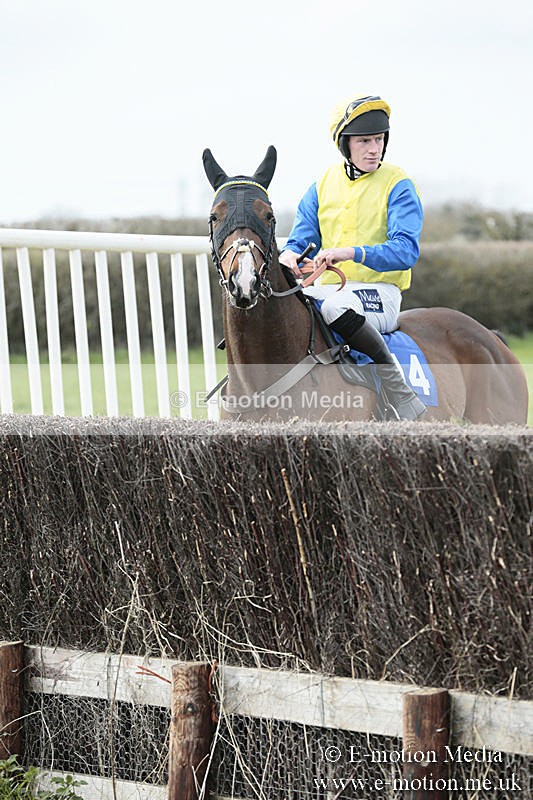 PtP 230319 207 - VWH Hunt Siddington Point-to-Point Racing 23/03/19