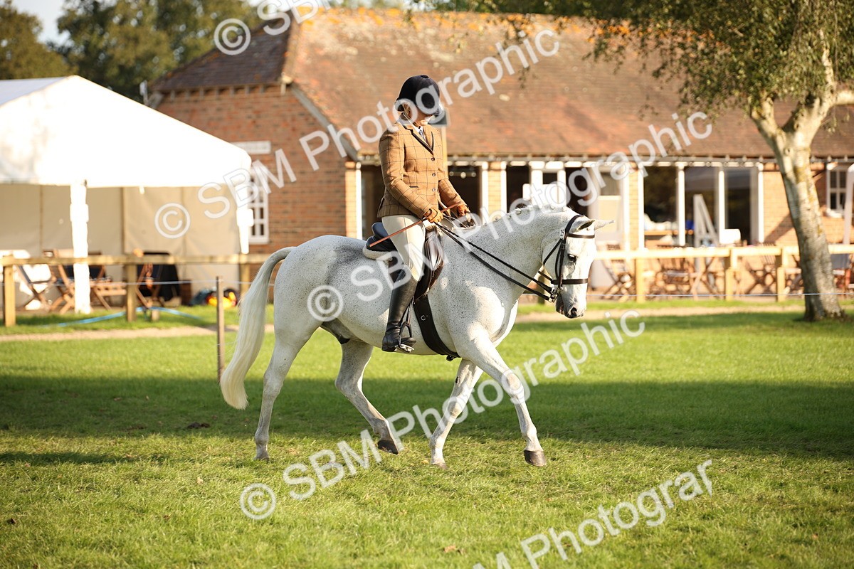 SBM_54385 - S27 - Mature Veteran - Ridden