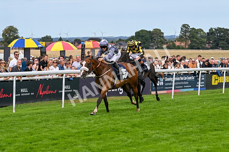 300826-Race 5-Harb-1112 - Race 5 3.55pm Constant Security Handicap
