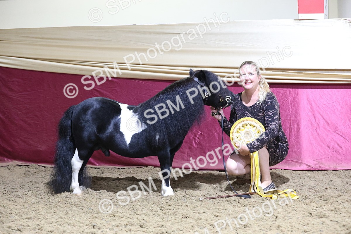 SBM_21623 - Class V - Champion of Champions