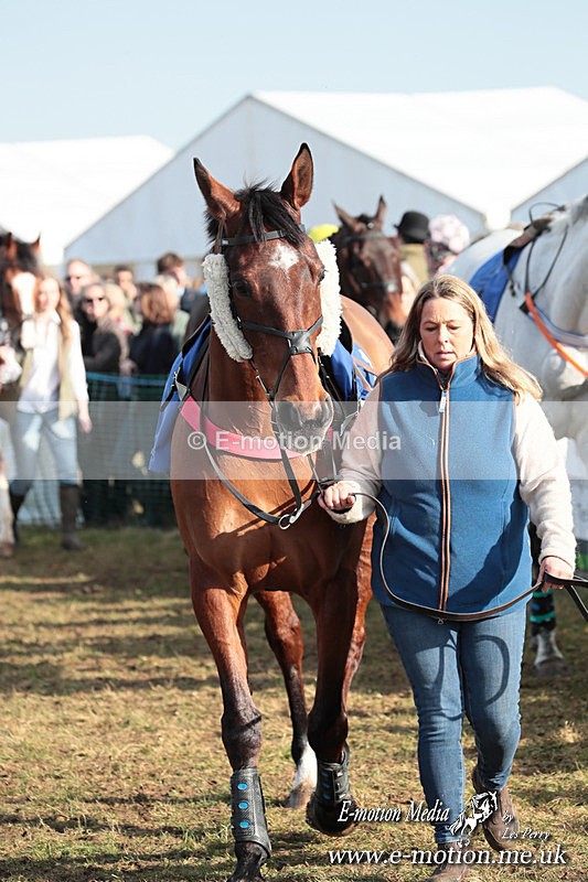 PtP 010325 402 - Beaufort Races Didmarton 01/03/25
