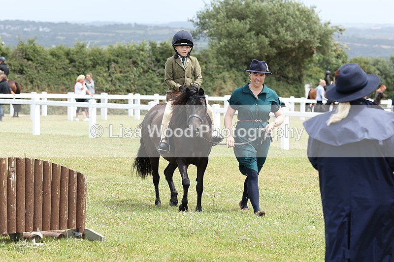 JPP_1782 - Class 18: Tiny Tots Working Hunter Pony
