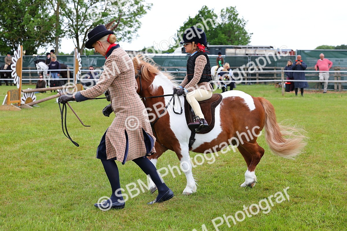 SBM_08227 - Class 42-43 - LIHS BSPS Heritage Working Sports Pony