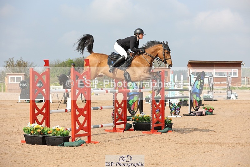 250424-102950-03052 - Cls 33 Young Horse 7yr old