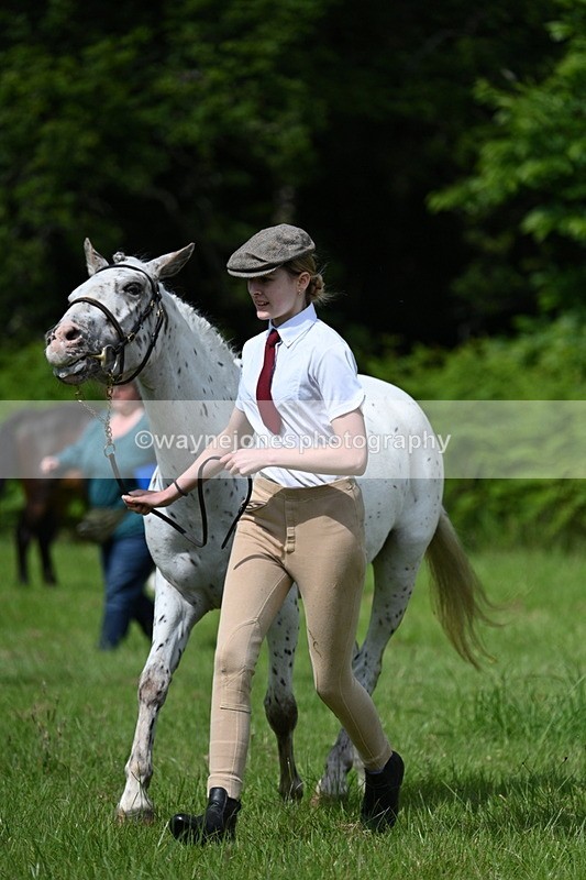 WJ7_1315 - Class 11 Condition & Turnout