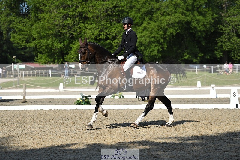 230525-094116-01645 - 307-PENHILLS_CANDY_MAN-Max_Warburton-WEDTrotUp+DR