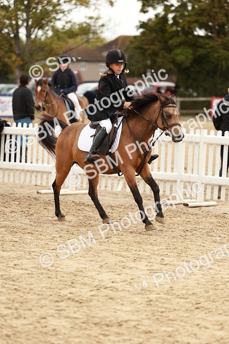 SBM_57833 - J11 - Junior Pony 50cm Championship