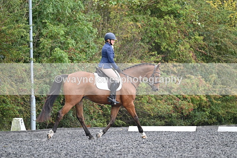 WJ7_4314 - Time 11:43 to 12:09