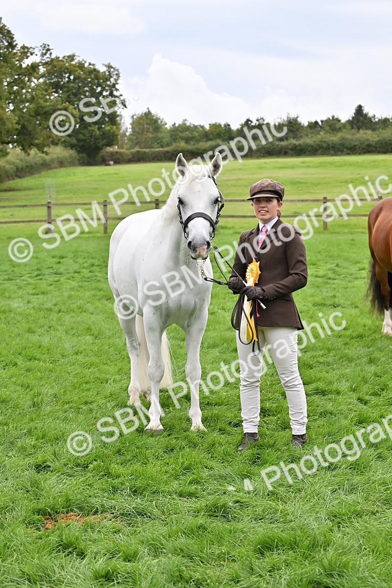 SBM_63321 - S49 - Mountain & Moorland In Hand Large Breeds