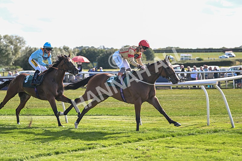 090925-Race 4-U Sure Do-8819 - Race 4