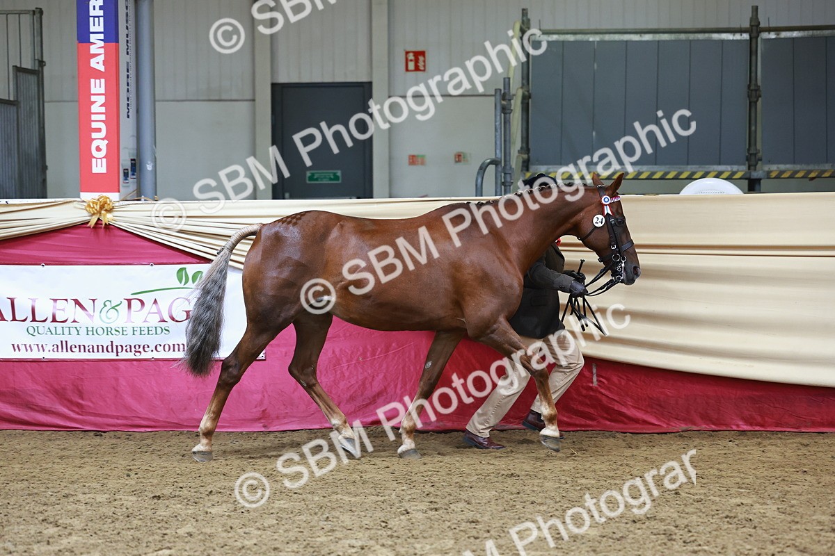 SBM_22272 - Class 902 - Supreme Final - IH Diamond