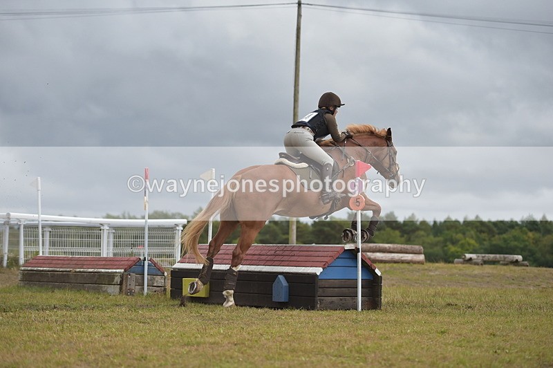 NGP_5431 - XC Time 13:36 to 13:47