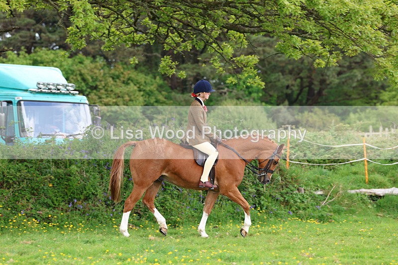 3E7A2070 - Class 11: Ridden Arab