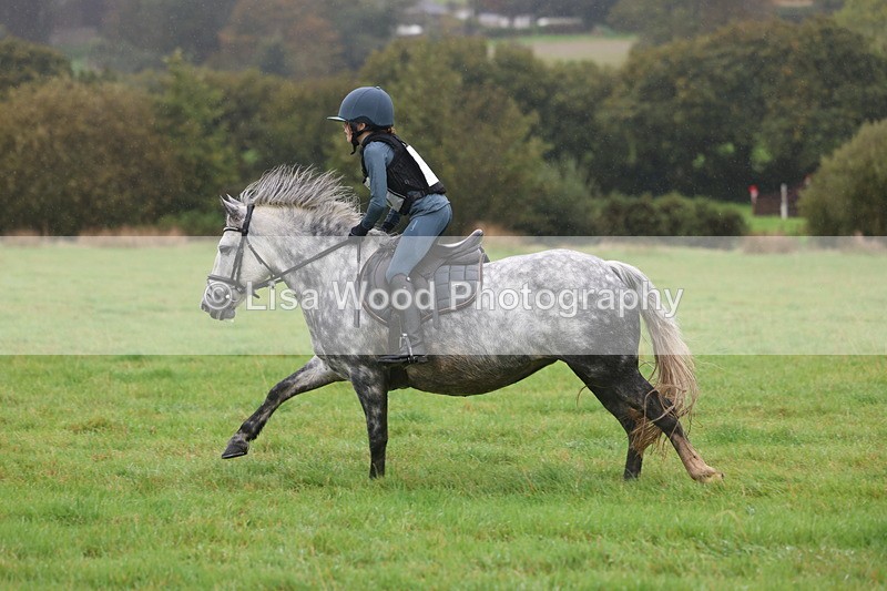 3E7A1030 - Class 1: 65cm: Rails