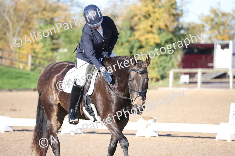 20251102-0409 - Class 3 - Novice 5