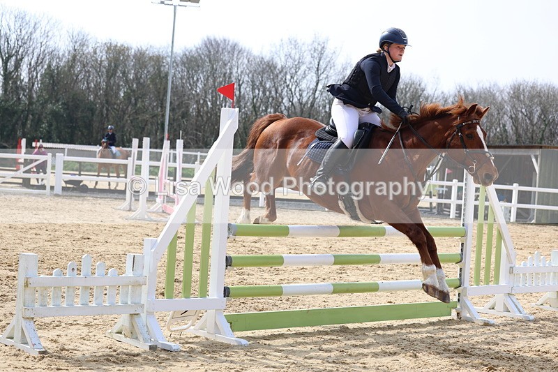 3E7A6874 - Class 4: Senior British Novice/90cm open