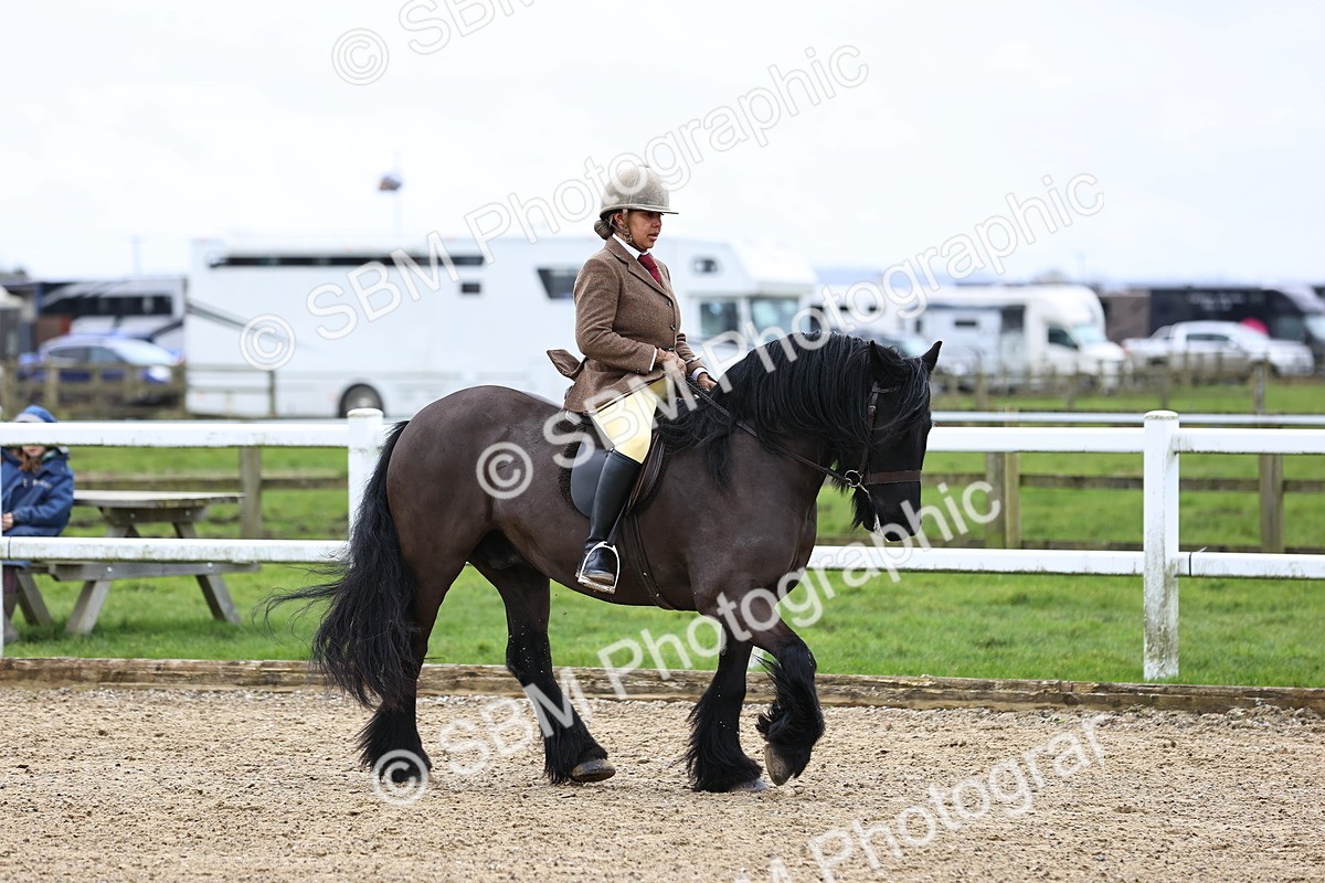 SBM_006991 - Class 29 - 30 - M&M Pure Novice Small-Large Breeds