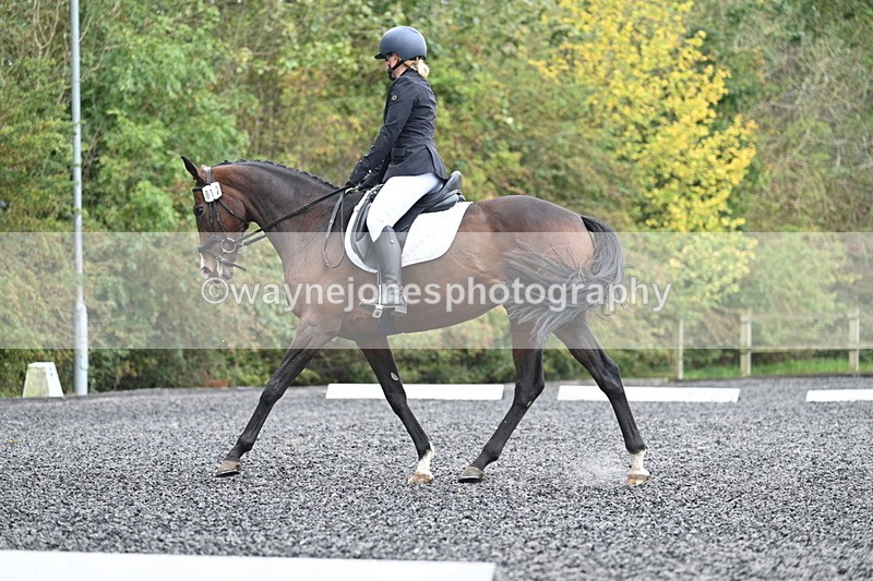 WJ7_3821 - Time 11:04 to 11:38