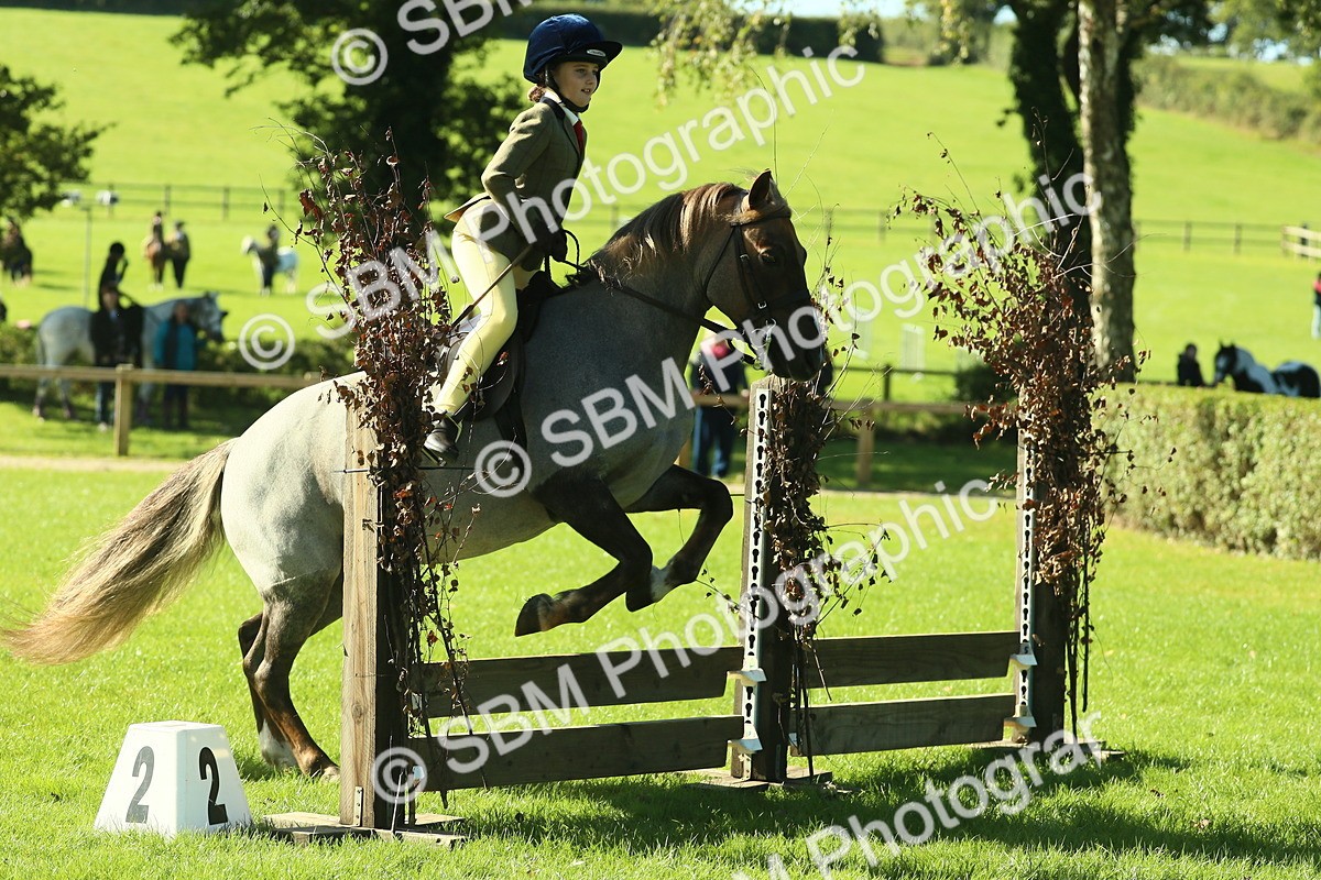 SBM_36442 - S29 - Novice & Newcomers Working Hunter Pony