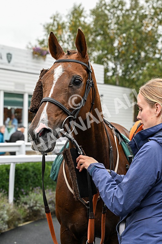 011025-Race 4-Bollin Neil-0443 - Race 4
