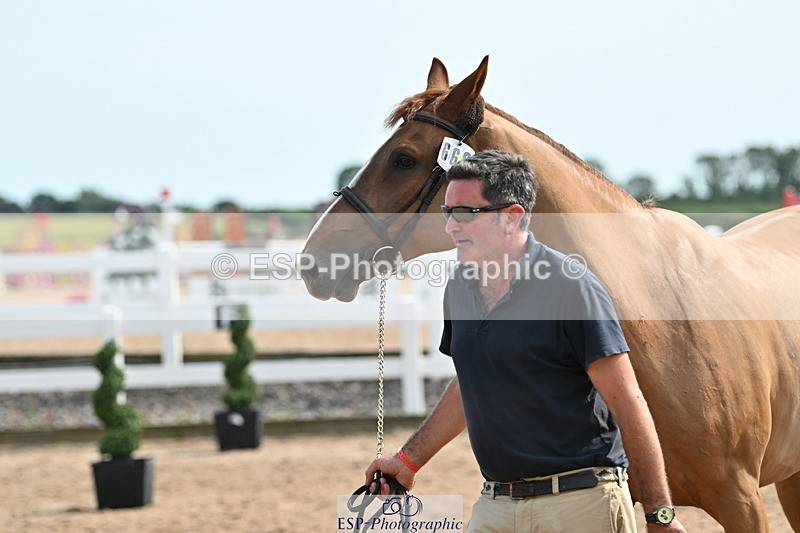 240717A-161248-03352 - Trot Up 4pm to 5pm