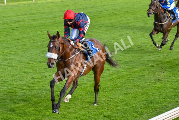 yr23072021r1-32 - Race 1 6.00pm John Wright Electrical Silk Series Lady Riders Handicap