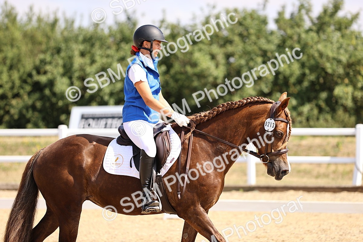 SBM_006535 - Intro 3 - 9.46-10.46