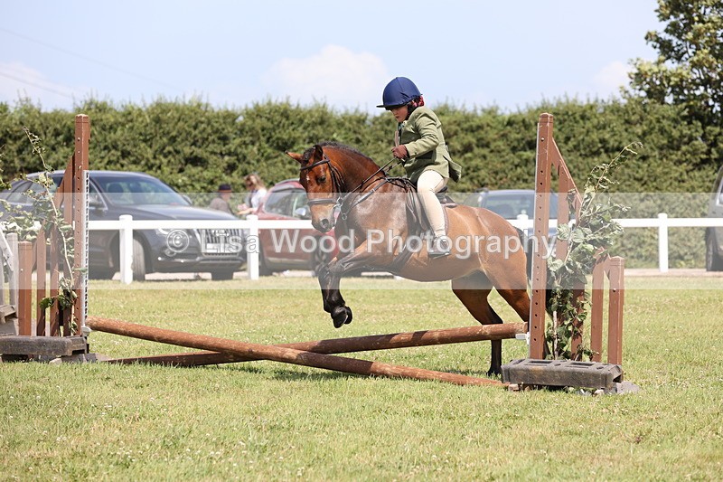 JPP_1815 - Class 18: Tiny Tots Working Hunter Pony