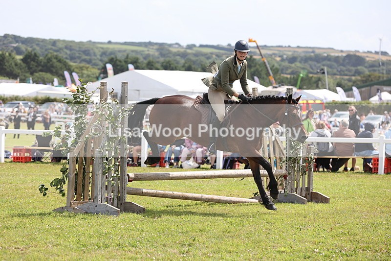 JPP_2048 - Class 19: Working Hunter 60cm