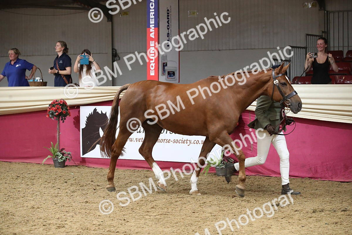 SBM_05843 - Class 9R - Regional IH Pre-Vet