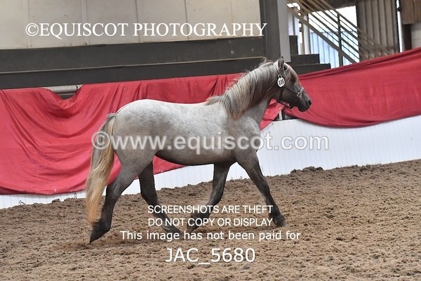 JAC_5680 - 6 Glenmuir Niamh