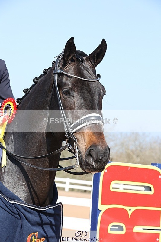 250405-112559-10146 - Cls 24 Young Horse 7YO Presentations