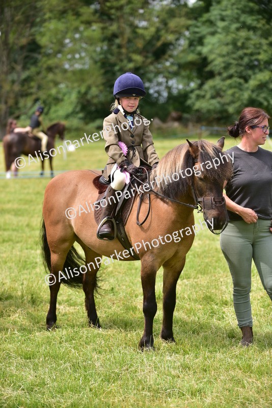 20260614-4037 - Class 16 - Handsome Gelding