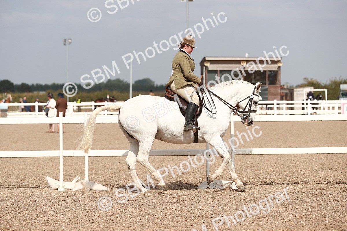 SBM_14821 - Class 212 Ridden Hunter - Small