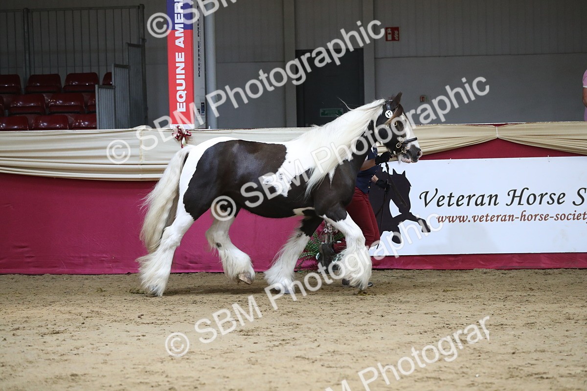SBM_06237 - Class 9R Regional- IH Pre Vet